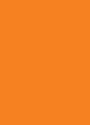 Preisschild Blanko Fluoreszierend Orange (100Stk)