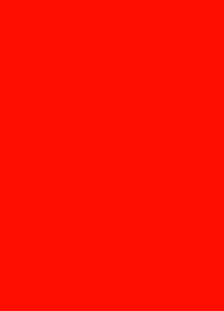 Preisschild Blanko Fluoreszierend Rot (100Stk)