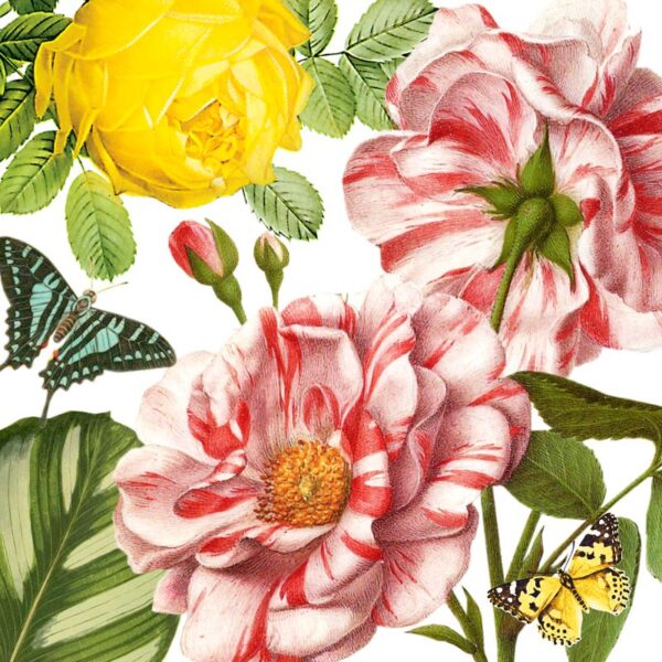 Servietten 33x33cm 20er Pg Atelier Paradise Roses