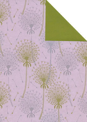 Geschenkpapier Löwenzahn Rosa Grün – 2 Seiten