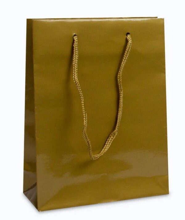 Papieren Draagtas Goud Luxe 20x8x26cm